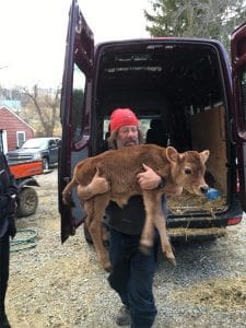 Skylands Animal Sanctuary & Rescue