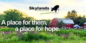 Skylands Animal Sanctuary & Rescue